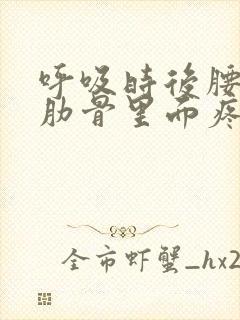 呼吸时后腰左侧肋骨里面疼