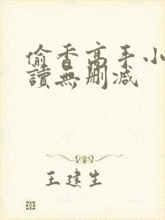 偷香高手小说阅读无删减