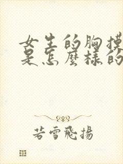 女生的胸摸起来是怎么样的