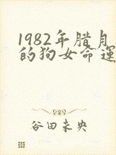1982年腊月的狗女命运如何
