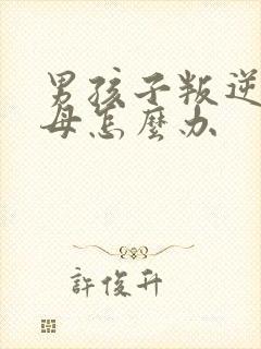 男孩子叛逆打父母怎么办