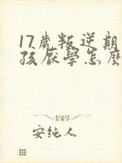 17岁叛逆期男孩厌学怎么办封面