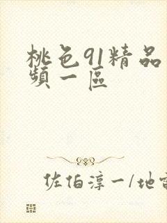 桃色91精品视频一区