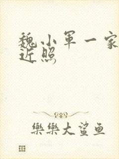 魏小军一家三口近照封面