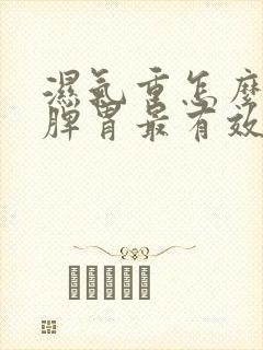 湿气重怎么调理脾胃最有效