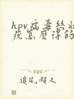 hpv病毒丝状疣怎么得的