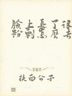 脸上长了很多小粉刺怎么去除