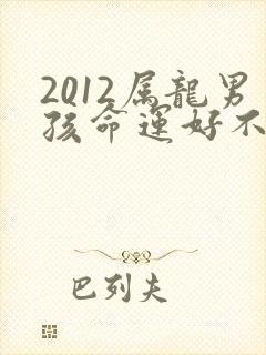 2012属龙男孩命运好不好