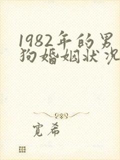 1982年的男狗婚姻状况及命运