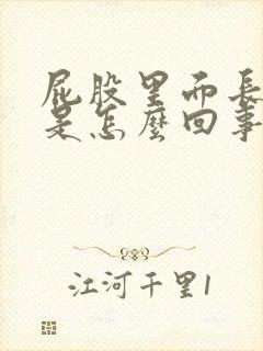 屁股里面长疙瘩是怎么回事