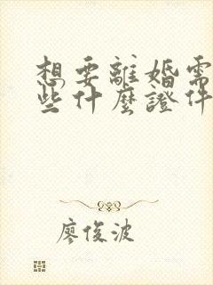 想要离婚需要带些什么证件