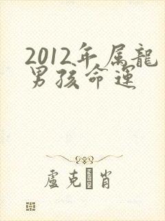 2012年属龙男孩命运