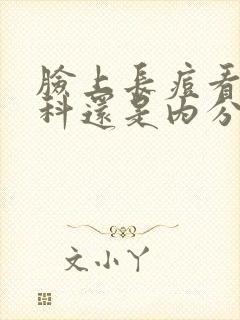 脸上长痘看皮肤科还是内分泌科