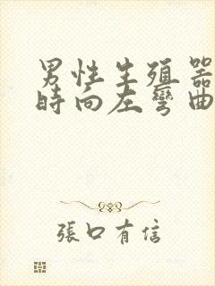 男性生殖器勃起时向左弯曲