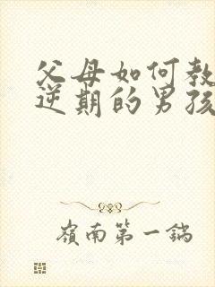 父母如何教育叛逆期的男孩子