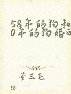 58年的狗和70年的狗婚配好吗