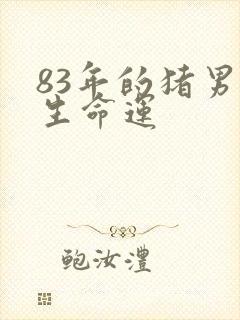 83年的猪男一生命运封面