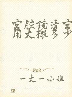 宫腔镜清宫的费用大概多少