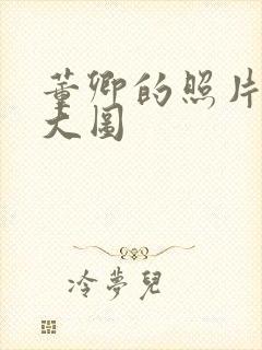 董卿的照片高清大图