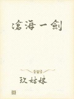 沧海一剑封面