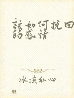 该如何挽回老公的感情