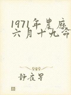 1971年农历六月十九命运如何