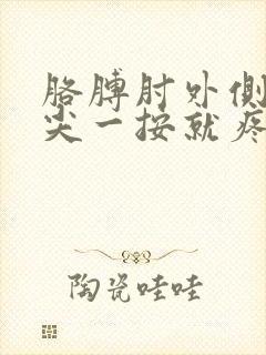 胳膊肘外侧骨头尖一按就疼