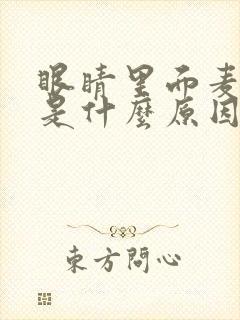 眼睛里面麦粒肿是什么原因