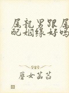 属龙男跟属牛女配姻缘好吗