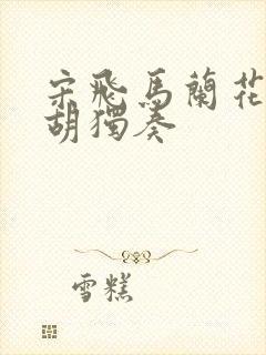 宋飞马兰花开二胡独奏