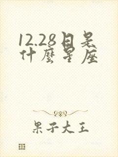 12.28日是什么星座