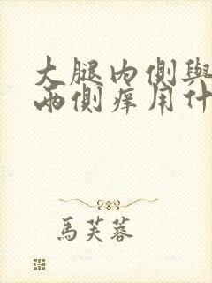 大腿内侧与阴囊两侧痒用什么药膏