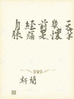 月经前几天乳房胀痛是怀孕了吗