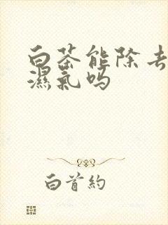 白茶能除去体内湿气吗