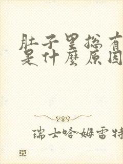 肚子里总有胀气是什么原因