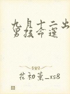 九月十二出生的男孩命运封面