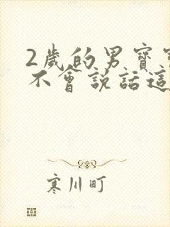 2岁的男宝宝还不会说话这正常