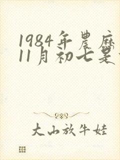 1984年农历11月初七是什么命