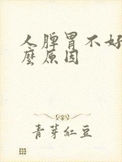 人脾胃不好是什么原因封面