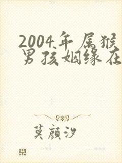 2004年属猴男孩姻缘在哪一年
