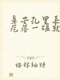 鼻子孔里长了个疙瘩一碰就疼