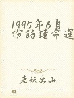 1995年6月份的猪命运如何