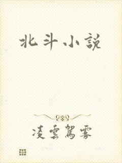 北斗小说
