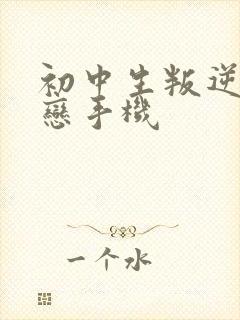 初中生叛逆期迷恋手机封面