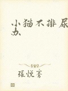 小猫不排尿怎么办封面