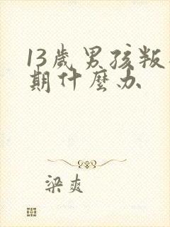 13岁男孩叛逆期什么办