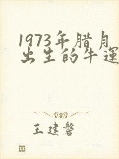 1973年腊月出生的牛运势如何封面