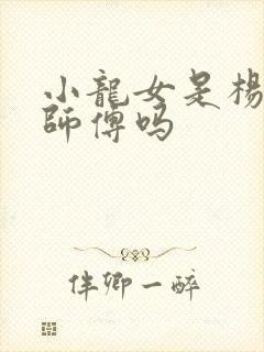 小龙女是杨过的师傅吗