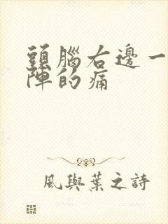 头脑右边一阵一阵的痛封面