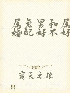 属兔男和属兔女婚配好不好封面